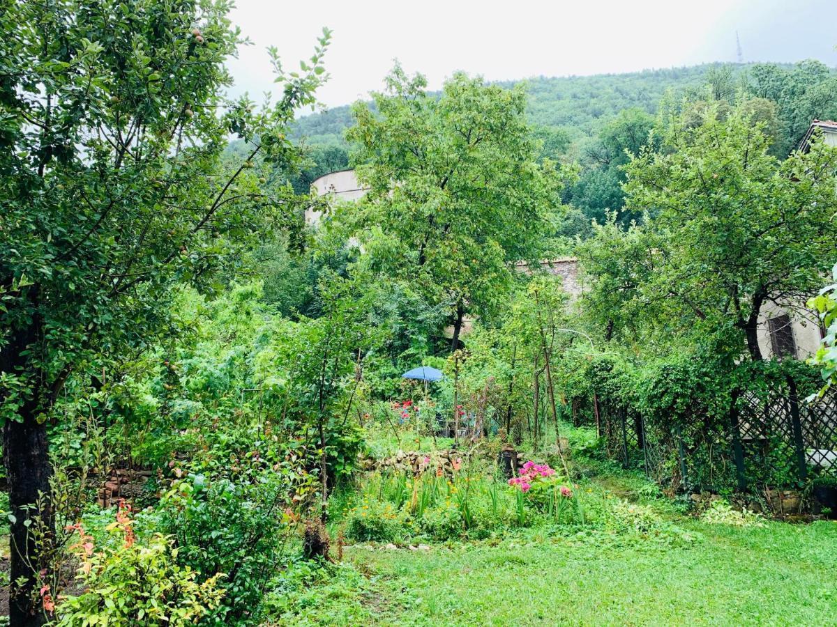 Maan Central Apartment Pet Friendly Location Brasov Luaran gambar